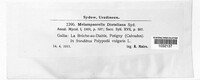 Milesina dieteliana image